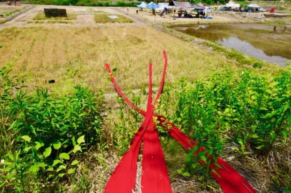 アートでたんぼ2019 レポ 香川_b0242956_09474746.jpeg