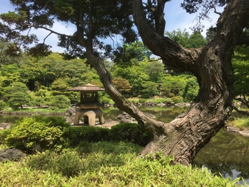 b0145863_22434869.jpeg