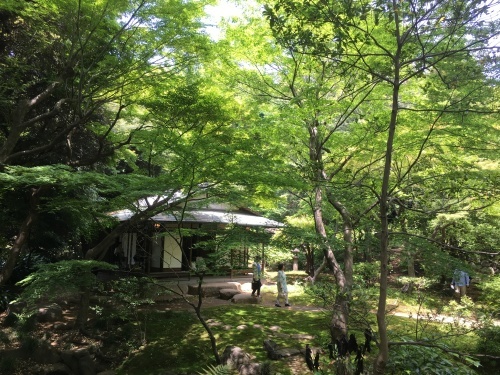 b0145863_22440719.jpeg