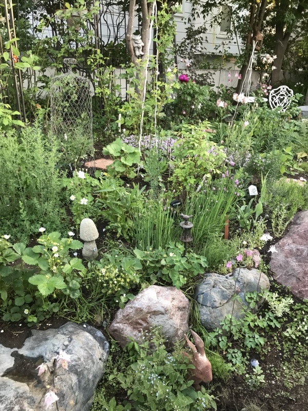 d0320463_19021647.jpeg