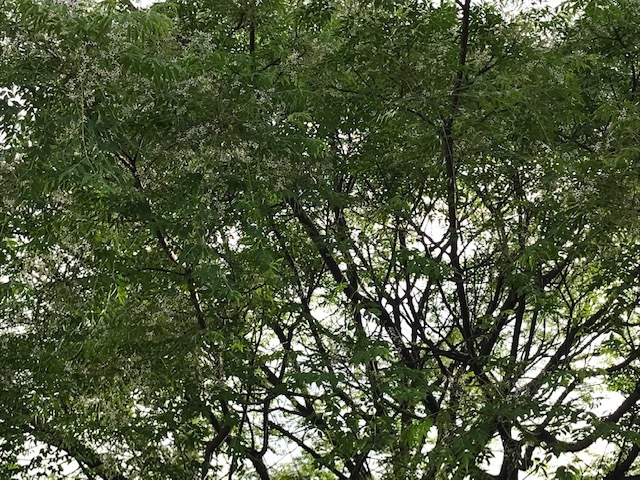 f0256164_12245459.jpg
