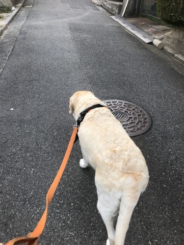 f0315081_22022338.jpeg