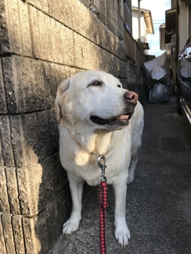 f0315081_22063267.jpeg