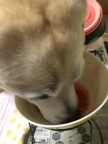 f0315081_22114281.jpeg