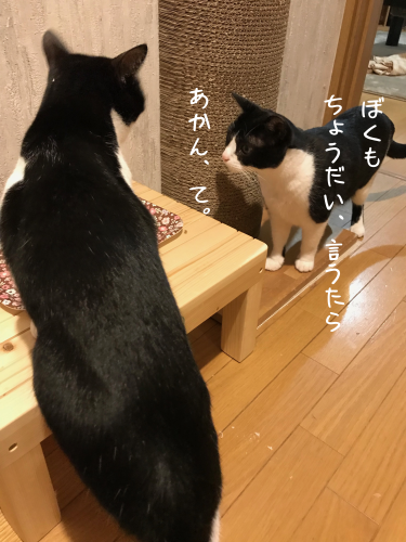 a0216583_23371320.png