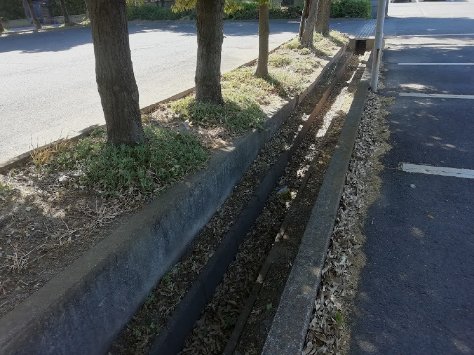 c0212083_17305444.jpg