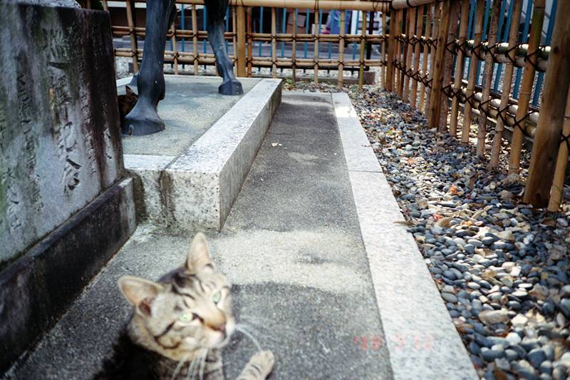猫様の住むお寺_f0159784_12370229.jpg