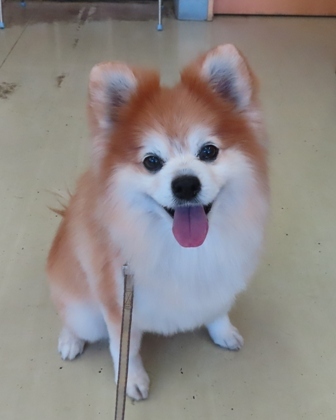f0077697_18220156.jpg