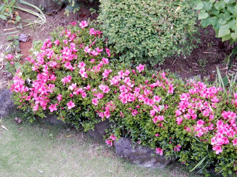 e0025300_2029323.jpg