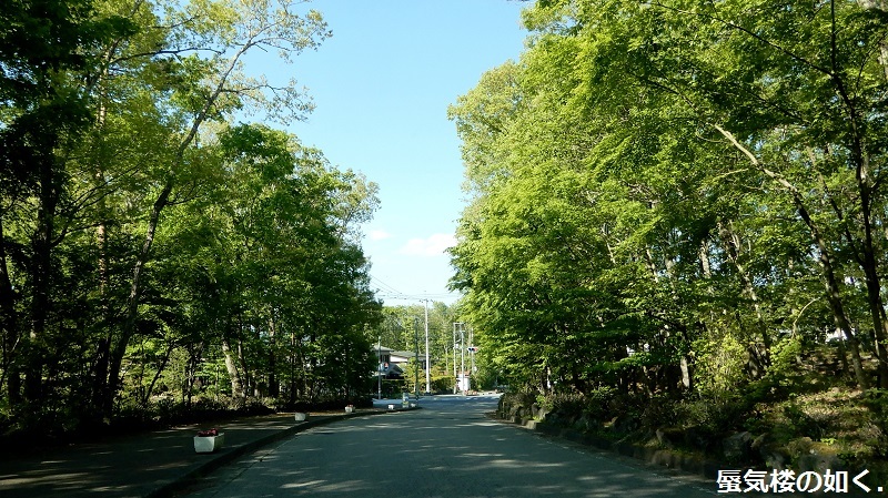 e0304702_10212374.jpg