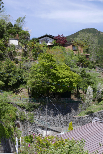 天界の村を歩く２ 関東山地 吉田川_d0147406_18593997.jpg