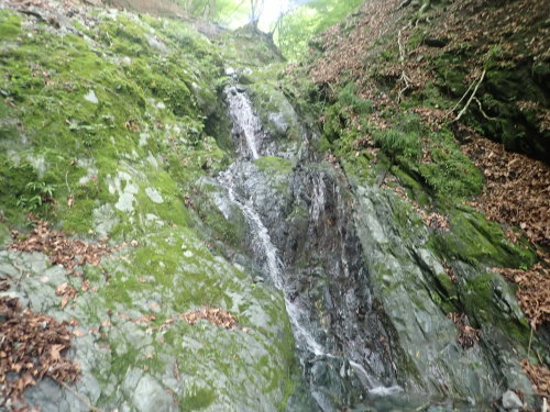 d0342206_18592819.jpg