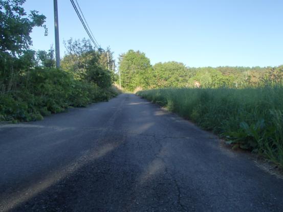 f0064906_06584882.jpg