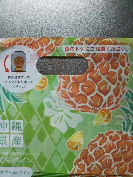 豆乳オレンジと沖縄パイン_f0316507_07454128.jpg