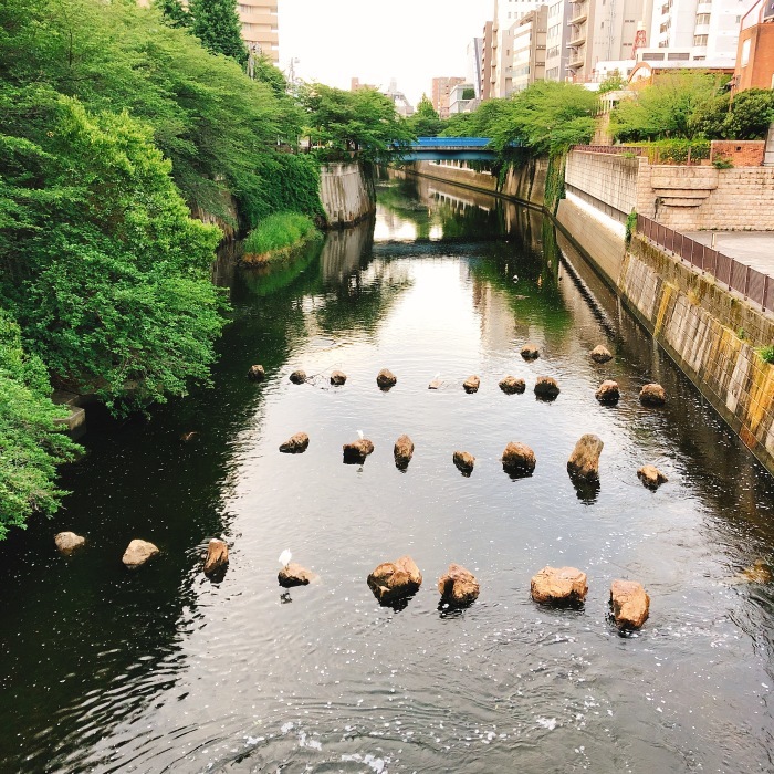 目黒川・中目黒点景_d0138811_10473888.jpeg