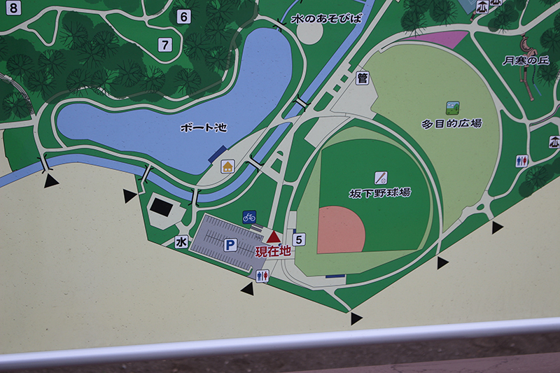 初めての月寒公園_a0139912_10594132.jpg