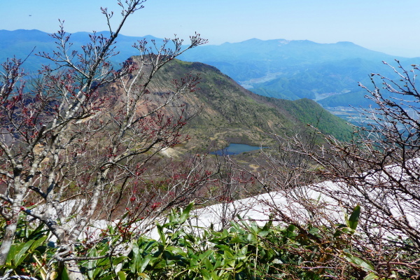 d0170615_20055825.jpg