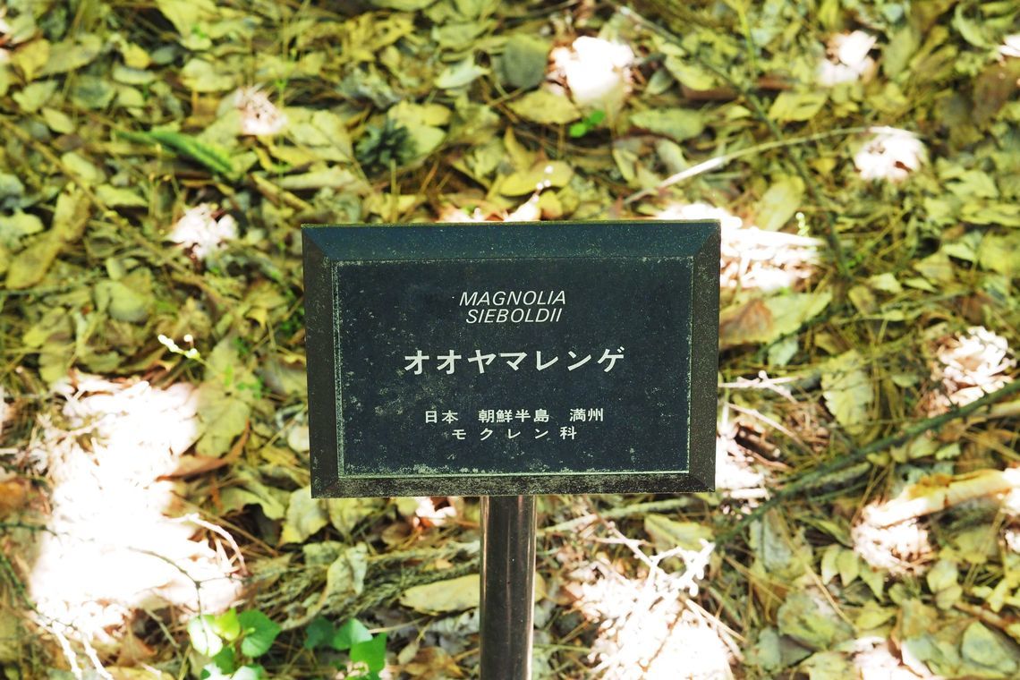 a0031821_16454600.jpg