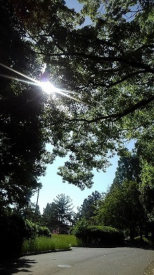 a0172222_07130609.jpg
