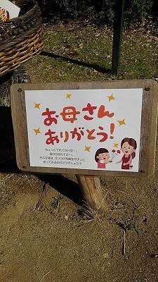 a0172222_07132161.jpg