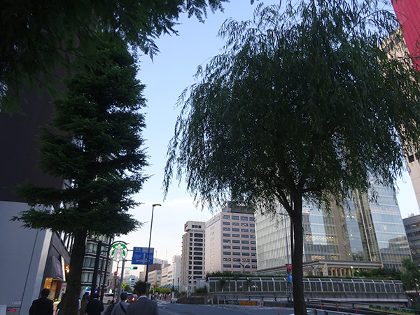 f0097523_13184920.jpg