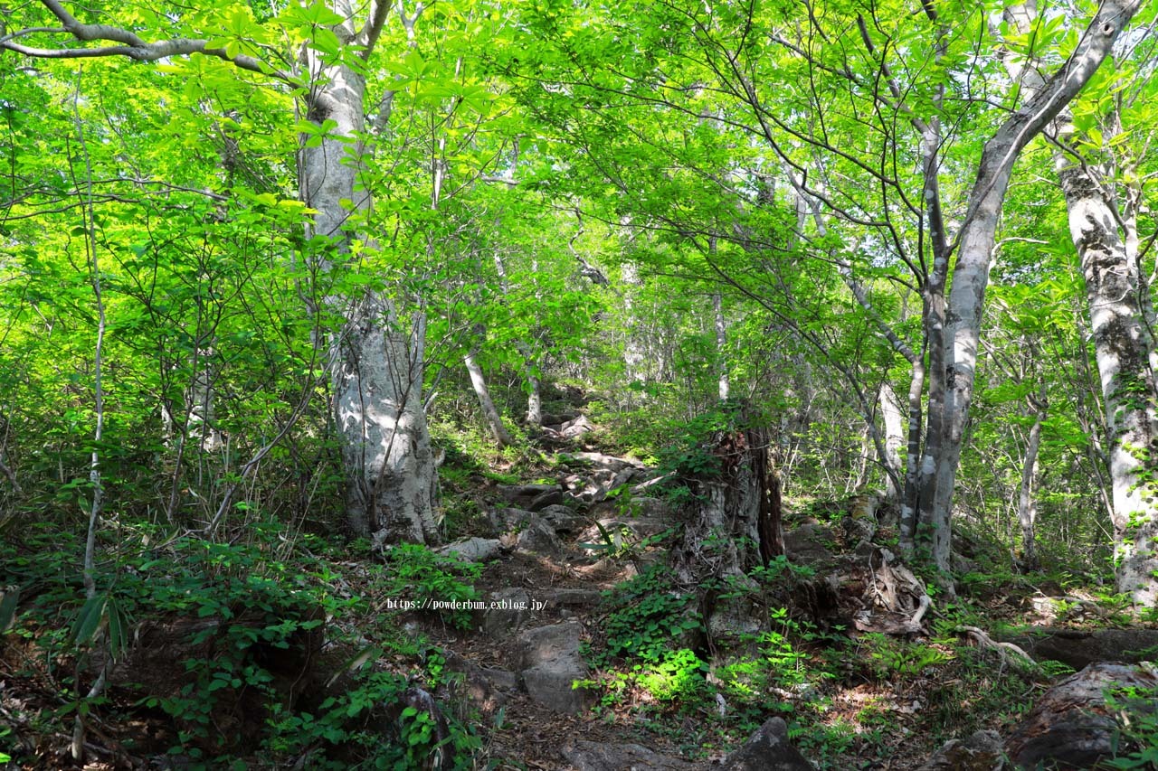 b0062024_20580546.jpg