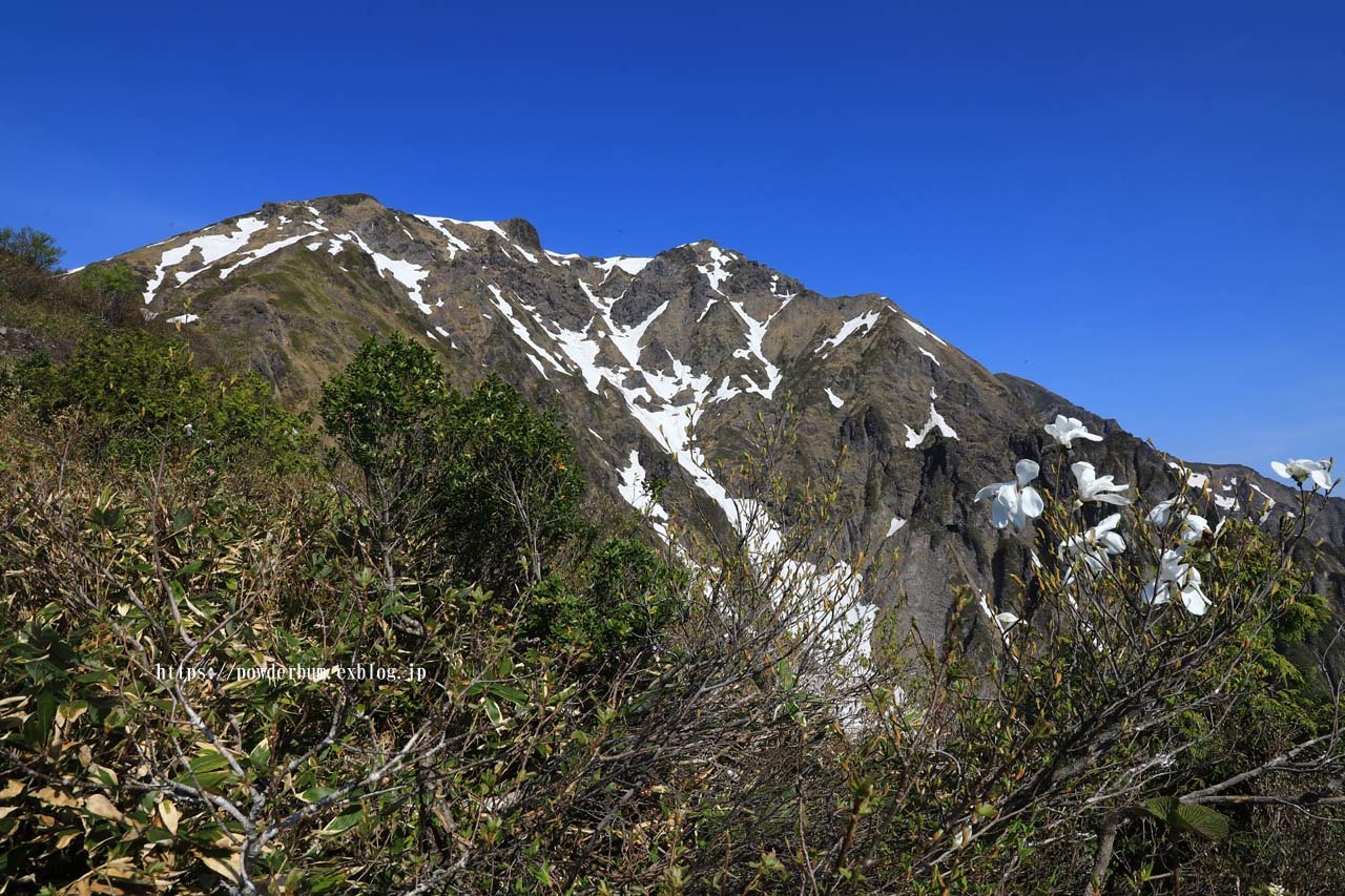 b0062024_21043026.jpg