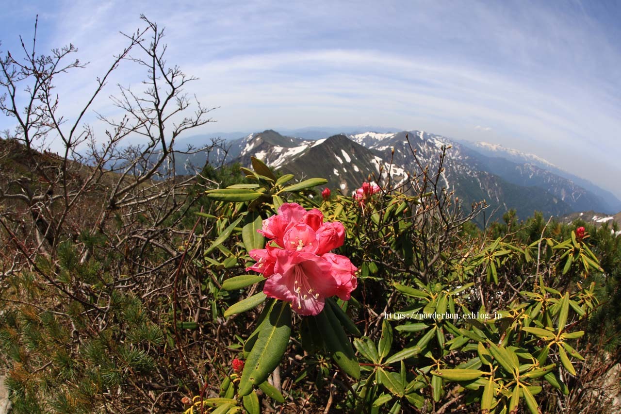b0062024_21124149.jpg