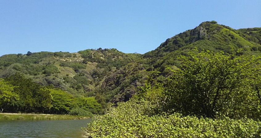 a0108328_15100209.jpg