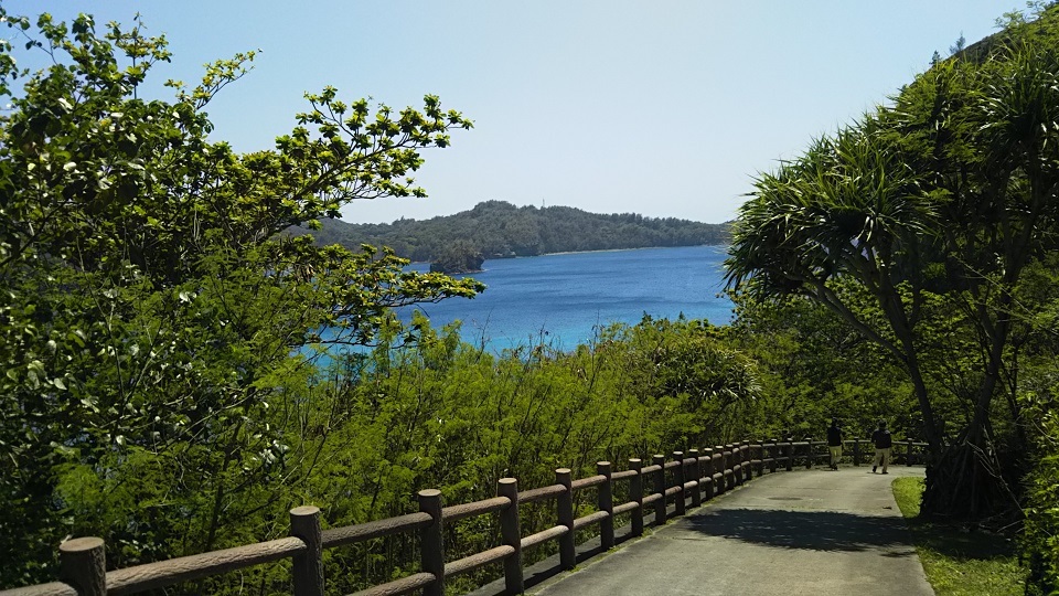 a0108328_15112868.jpg