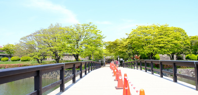 「2019函館・札幌旅 五稜郭へ」_a0000029_15215846.jpg