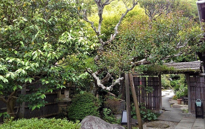 b0197433_10014855.jpg