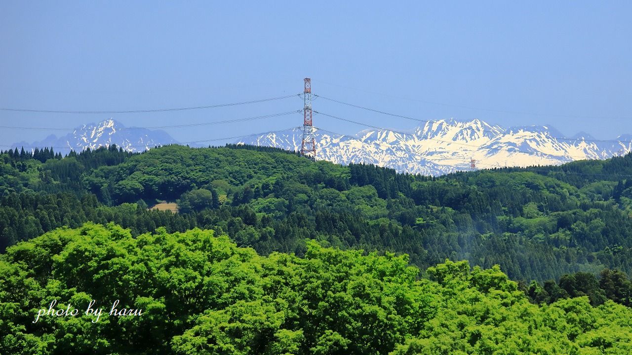 f0297537_09331759.jpg