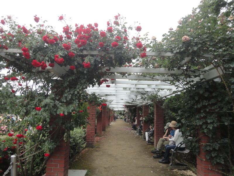 d0359338_11113121.jpg