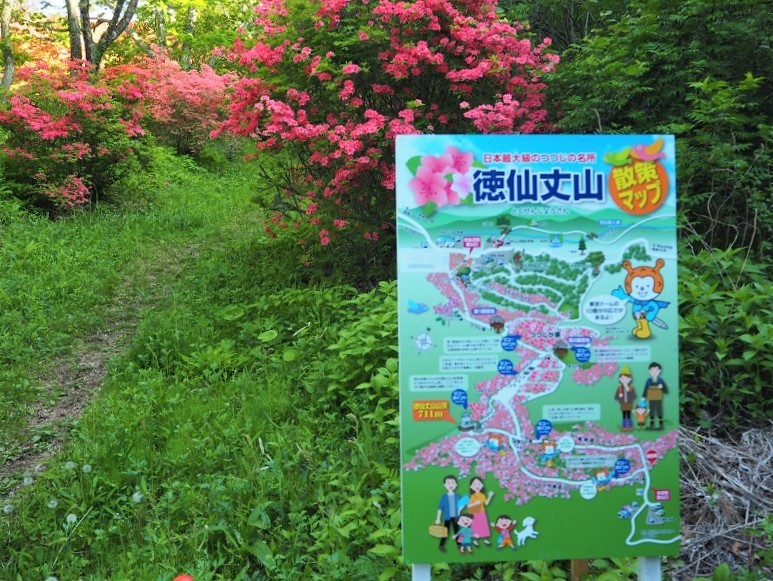 c0261447_20143950.jpg
