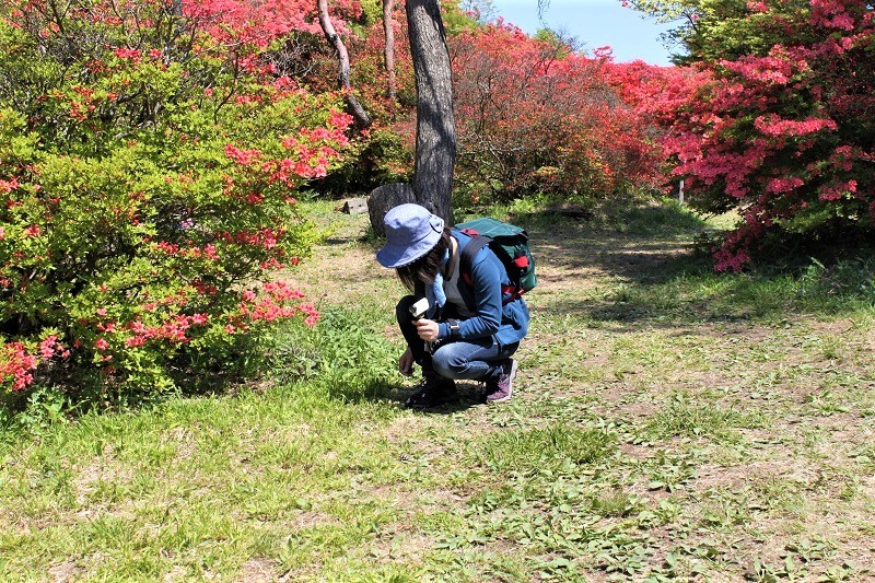c0261447_20432034.jpg