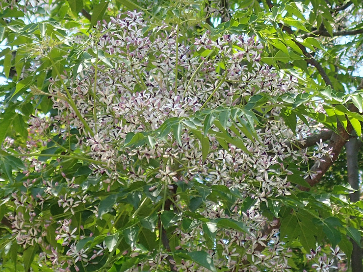 f0214649_04440101.jpg