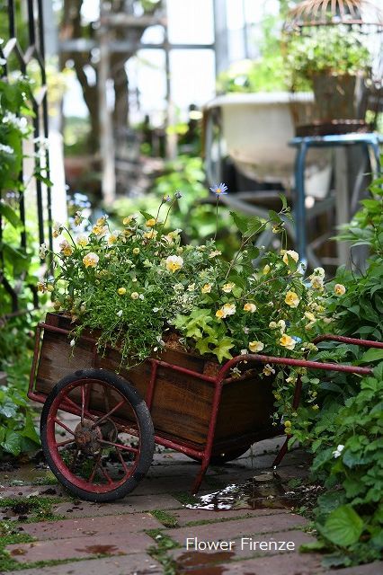 *寄せ植え レッスン続きます*_e0159050_17331844.jpg