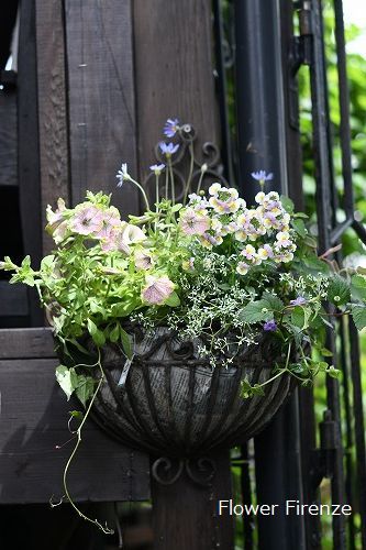 *寄せ植え レッスン続きます*_e0159050_17351981.jpg