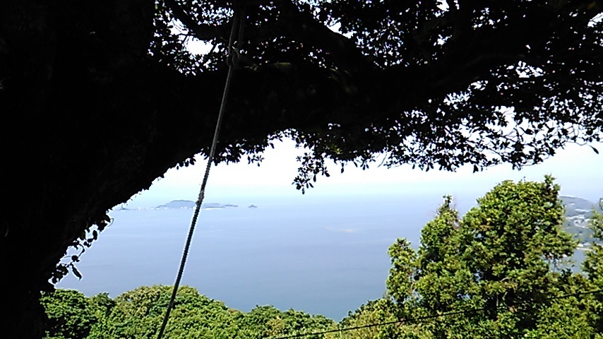 e0036151_16545717.jpg