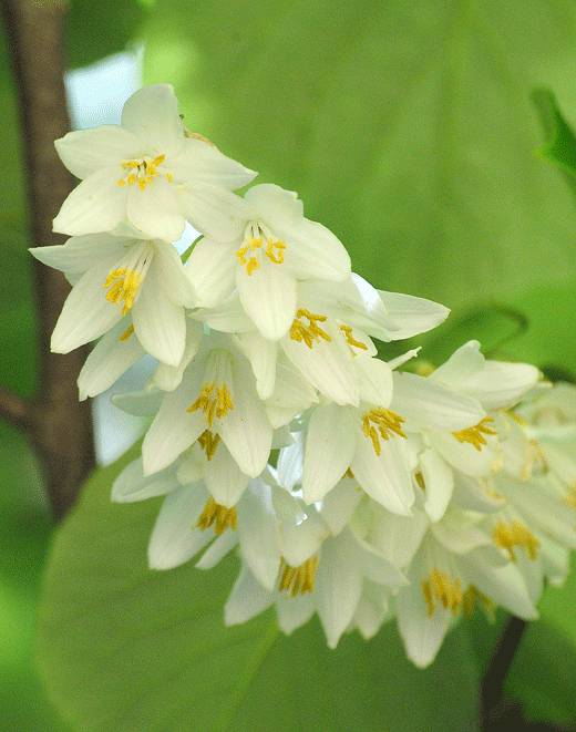 a0001354_00005481.gif