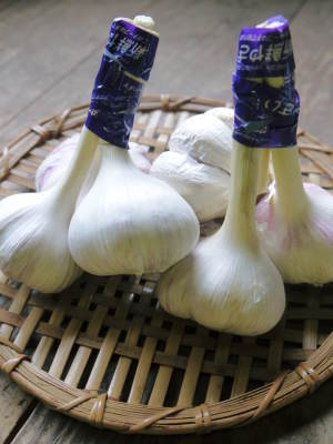 なごみの里の『無農薬栽培にんにく』の販売に向けて!_a0254656_18382359.jpg