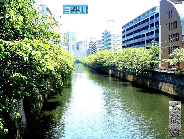 c0119160_05031545.jpg