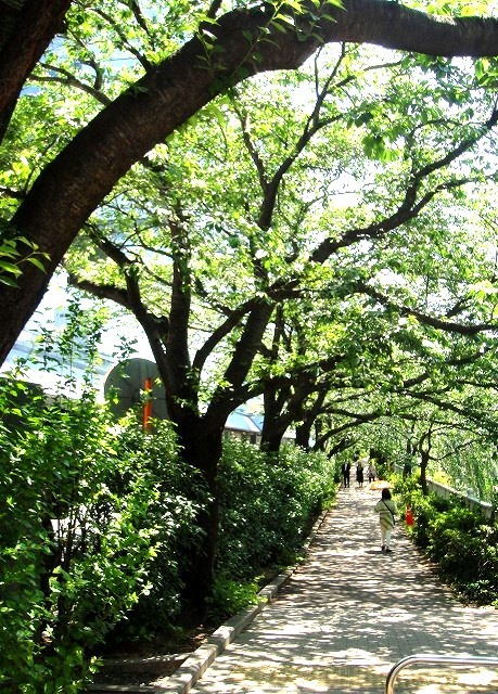 c0119160_05035589.jpg
