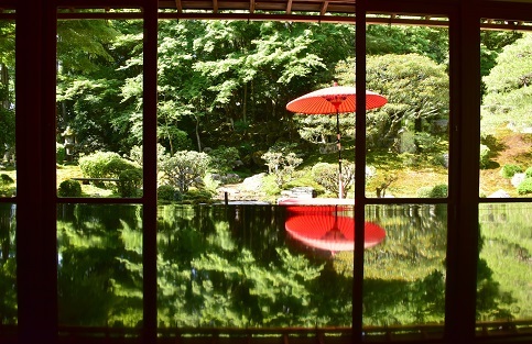 カキツバタの咲く池と日本庭園　　琵琶湖周辺にて_c0303868_04444648.jpg