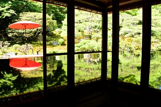 カキツバタの咲く池と日本庭園　　琵琶湖周辺にて_c0303868_04461912.jpg