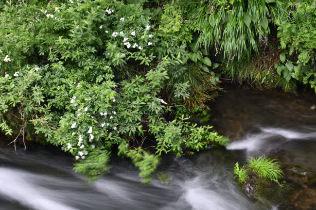 b0183370_17085590.jpg