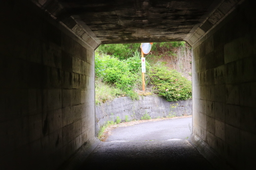 イワサキ走行会レポートin阿讃サーキット_b0163075_13524224.jpg