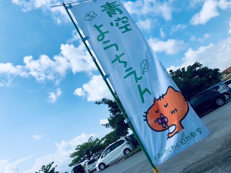 青空ようちえん〔週末〕春の海岸ピクニック(5/5)泳いで!生き物を見つけて!親子でのんびり今年はじめての海遊び_d0363878_23450818.jpg