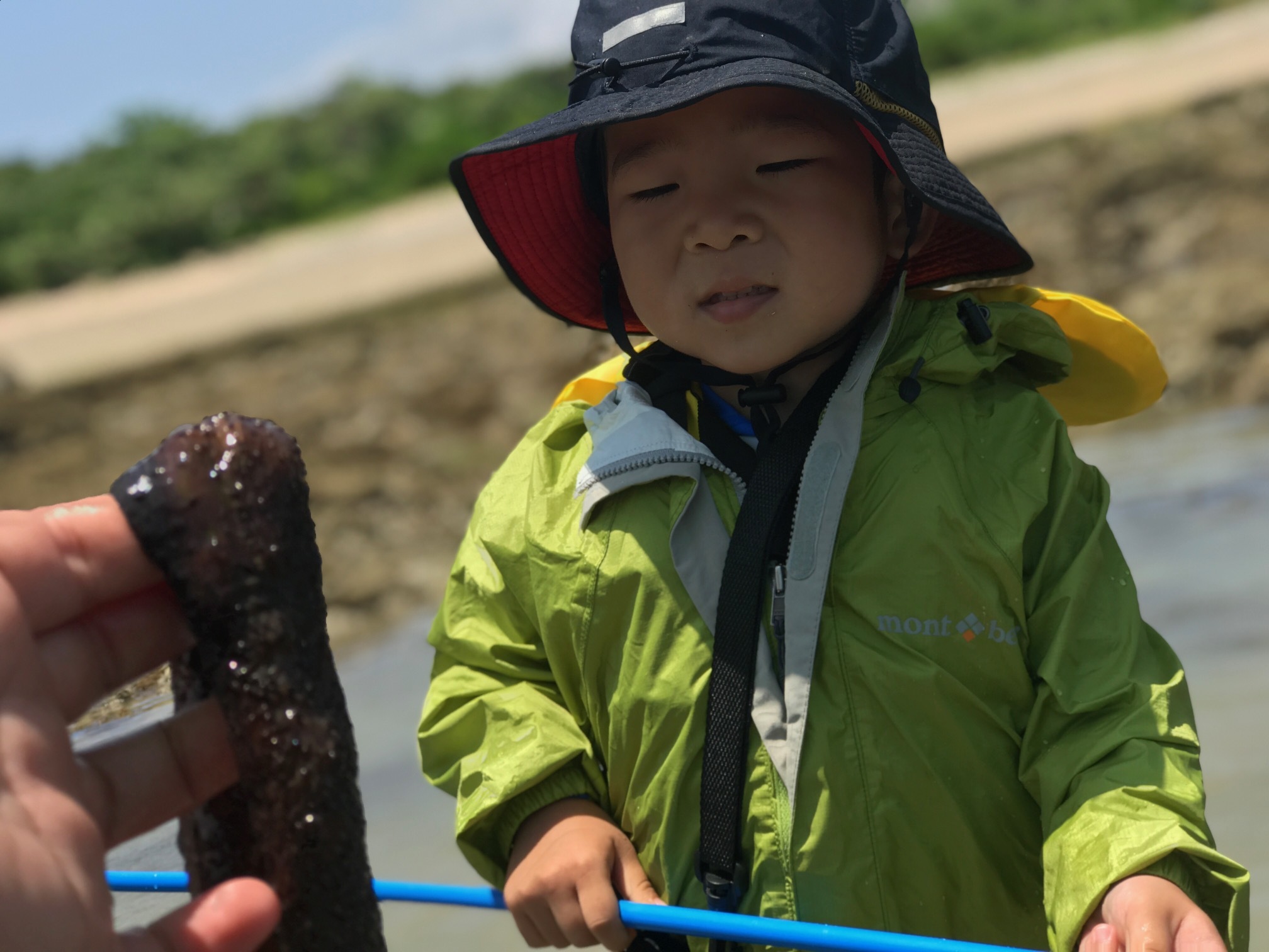 青空ようちえん〔週末〕春の海岸ピクニック(5/5)泳いで!生き物を見つけて!親子でのんびり今年はじめての海遊び_d0363878_23580318.jpg